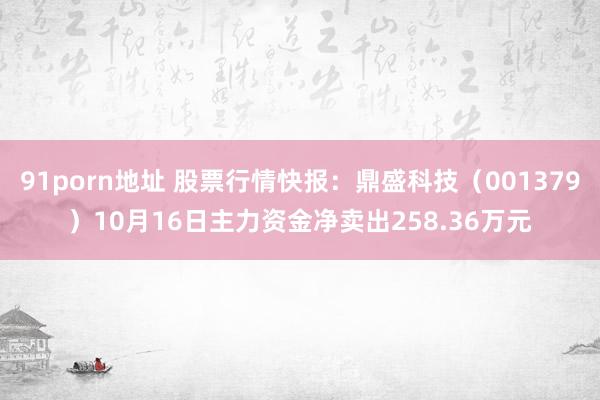 91porn地址 股票行情快报：鼎盛科技（001379）10月16日主力资金净卖出258.36万元