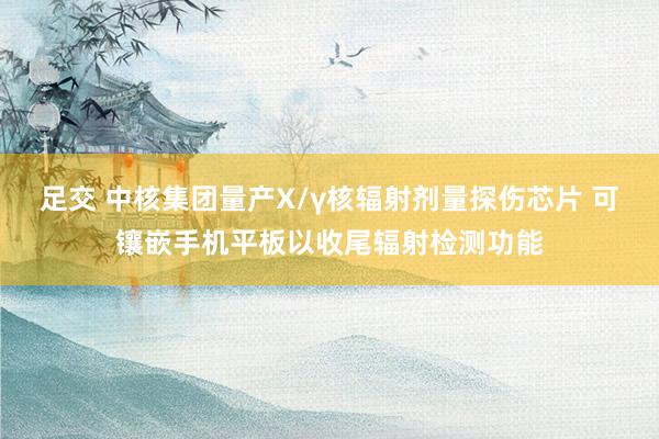 足交 中核集团量产X/γ核辐射剂量探伤芯片 可镶嵌手机平板以收尾辐射检测功能