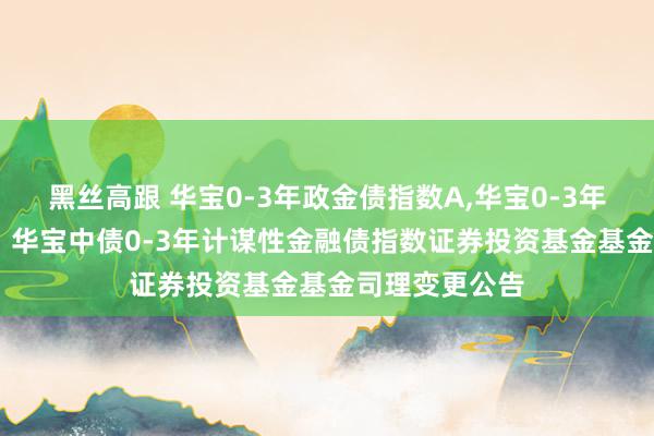 黑丝高跟 华宝0-3年政金债指数A,华宝0-3年政金债指数C: 华宝中债0-3年计谋性金融债指数证券投资基金基金司理变更公告