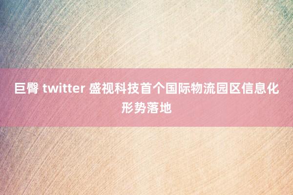 巨臀 twitter 盛视科技首个国际物流园区信息化形势落地