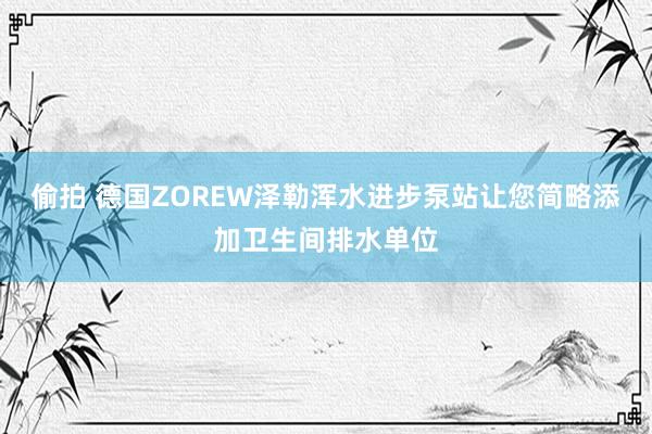偷拍 德国ZOREW泽勒浑水进步泵站让您简略添加卫生间排水单位