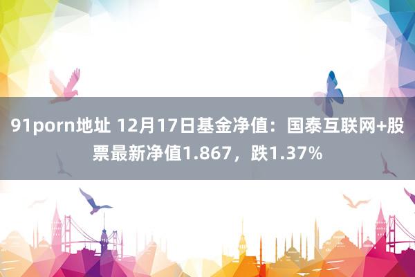 91porn地址 12月17日基金净值：国泰互联网+股票最新净值1.867，跌1.37%