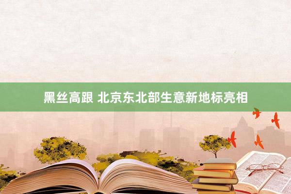 黑丝高跟 北京东北部生意新地标亮相