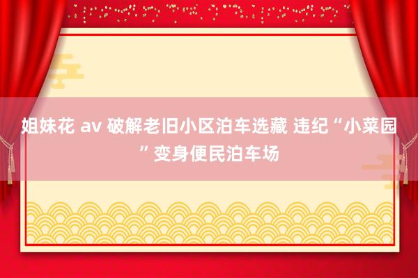姐妹花 av 破解老旧小区泊车选藏 违纪“小菜园”变身便民泊车场