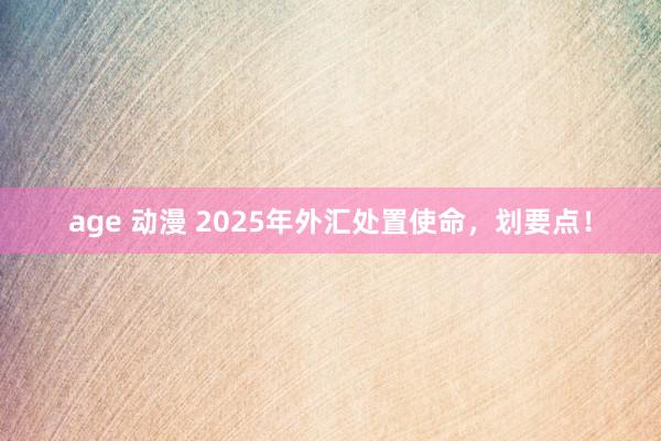 age 动漫 2025年外汇处置使命，划要点！