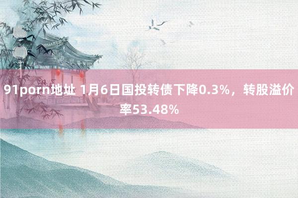 91porn地址 1月6日国投转债下降0.3%，转股溢价率53.48%