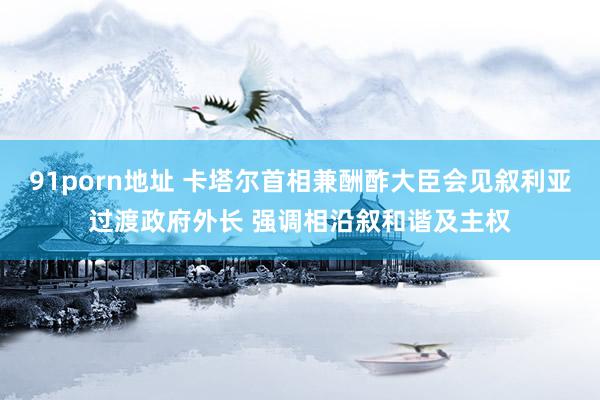 91porn地址 卡塔尔首相兼酬酢大臣会见叙利亚过渡政府外长 强调相沿叙和谐及主权