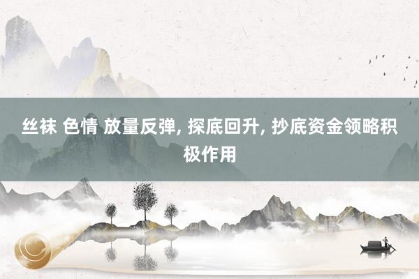 丝袜 色情 放量反弹， 探底回升， 抄底资金领略积极作用