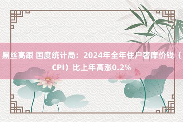 黑丝高跟 国度统计局：2024年全年住户奢靡价钱（CPI）比上年高涨0.2%