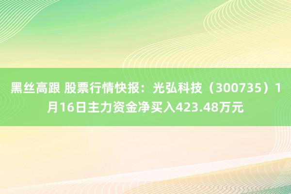 黑丝高跟 股票行情快报：光弘科技（300735）1月16日主力资金净买入423.48万元