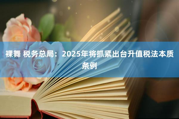 裸舞 税务总局：2025年将抓紧出台升值税法本质条例