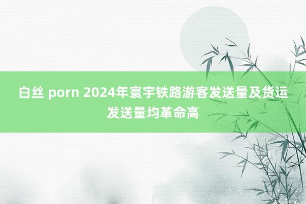 白丝 porn 2024年寰宇铁路游客发送量及货运发送量均革命高