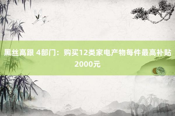 黑丝高跟 4部门：购买12类家电产物每件最高补贴2000元
