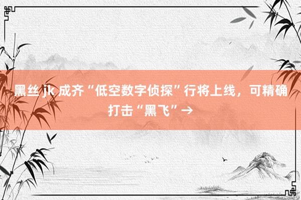 黑丝 jk 成齐“低空数字侦探”行将上线，可精确打击“黑飞”→