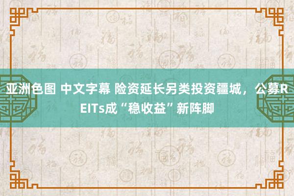 亚洲色图 中文字幕 险资延长另类投资疆城，公募REITs成“稳收益”新阵脚