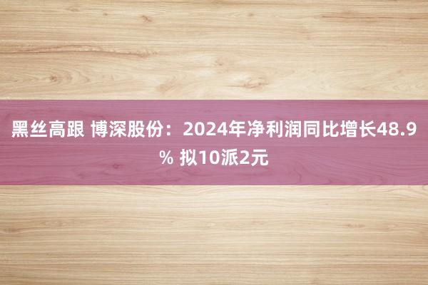 黑丝高跟 博深股份：2024年净利润同比增长48.9% 拟10派2元