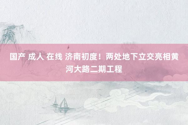 国产 成人 在线 济南初度！两处地下立交亮相黄河大路二期工程