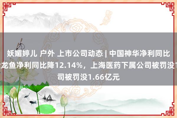 妖媚婷儿 户外 上市公司动态 | 中国神华净利同比微降，金龙鱼净利同比降12.14%，上海医药下属公司被罚没1.66亿元