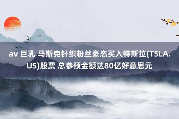 av 巨乳 马斯克针织粉丝豪恣买入特斯拉(TSLA.US)股票 总参预金额达80亿好意思元