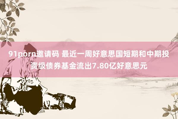 91porn邀请码 最近一周好意思国短期和中期投资级债券基金流出7.80亿好意思元