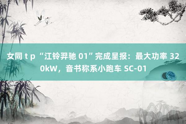 女同 t p “江铃羿驰 01”完成呈报：最大功率 320kW，音书称系小跑车 SC-01