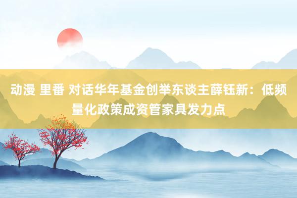 动漫 里番 对话华年基金创举东谈主薛钰新：低频量化政策成资管家具发力点