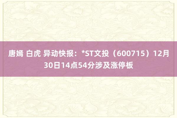唐嫣 白虎 异动快报：*ST文投（600715）12月30日14点54分涉及涨停板
