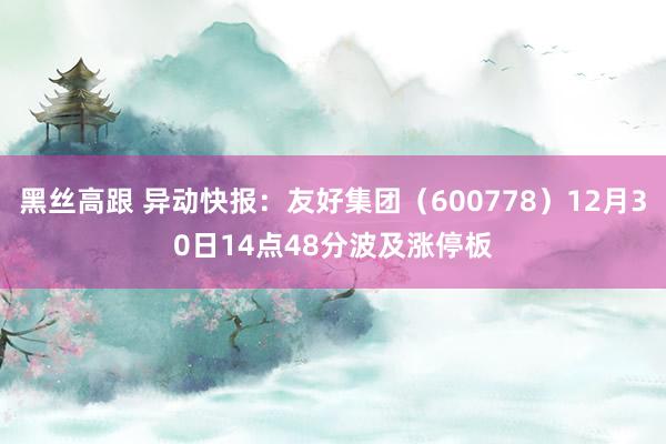 黑丝高跟 异动快报：友好集团（600778）12月30日14点48分波及涨停板