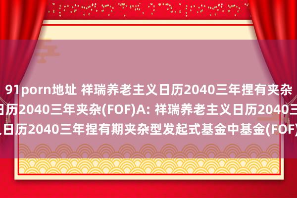 91porn地址 祥瑞养老主义日历2040三年捏有夹杂(FOF)Y，祥瑞养老主义日历2040三年夹杂(FOF)A: 祥瑞养老主义日历2040三年捏有期夹杂型发起式基金中基金(FOF)2024年年度陈说