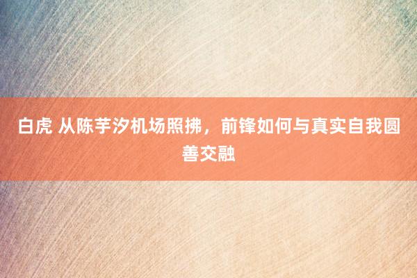 白虎 从陈芋汐机场照拂，前锋如何与真实自我圆善交融