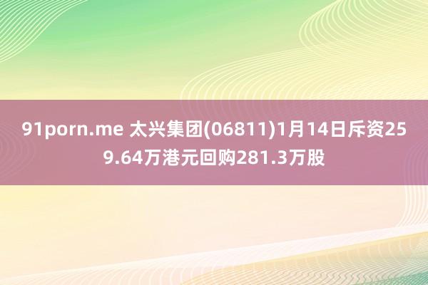 91porn.me 太兴集团(06811)1月14日斥资259.64万港元回购281.3万股