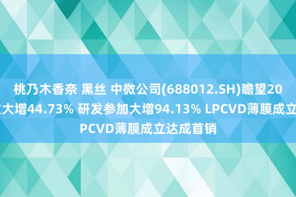 桃乃木香奈 黑丝 中微公司(688012.SH)瞻望2024年营收大增44.73% 研发参加大增94.13% LPCVD薄膜成立达成首销