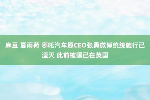 麻豆 夏雨荷 哪吒汽车原CEO张勇微博统统施行已湮灭 此前被曝已在英国