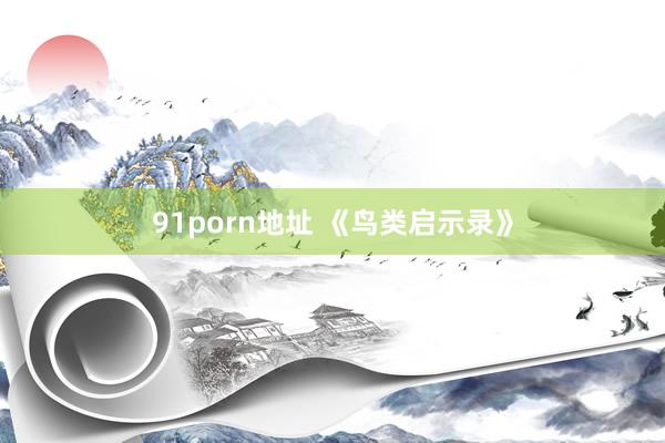91porn地址 《鸟类启示录》
