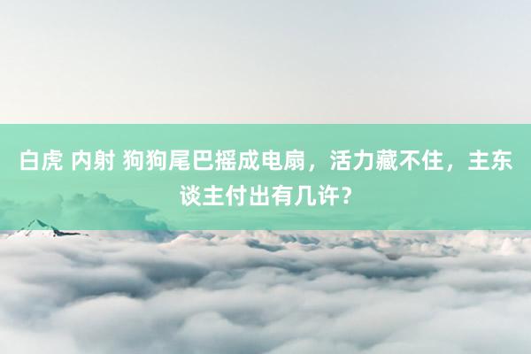 白虎 内射 狗狗尾巴摇成电扇，活力藏不住，主东谈主付出有几许？