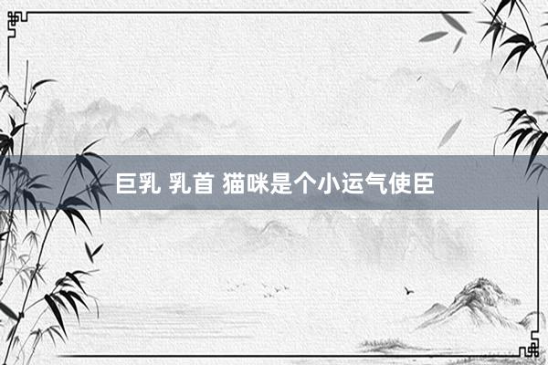 巨乳 乳首 猫咪是个小运气使臣