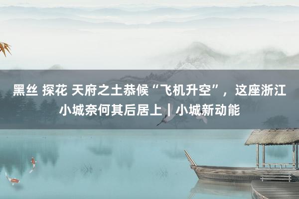 黑丝 探花 天府之土恭候“飞机升空”，这座浙江小城奈何其后居上｜小城新动能