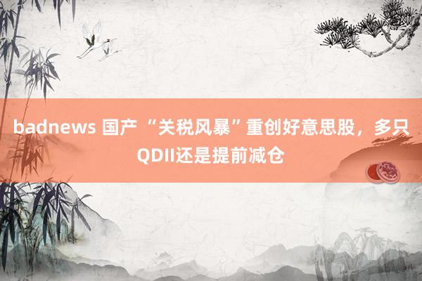 badnews 国产 “关税风暴”重创好意思股，多只QDII还是提前减仓