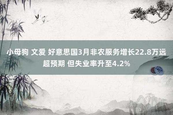 小母狗 文爱 好意思国3月非农服务增长22.8万远超预期 但失业率升至4.2%