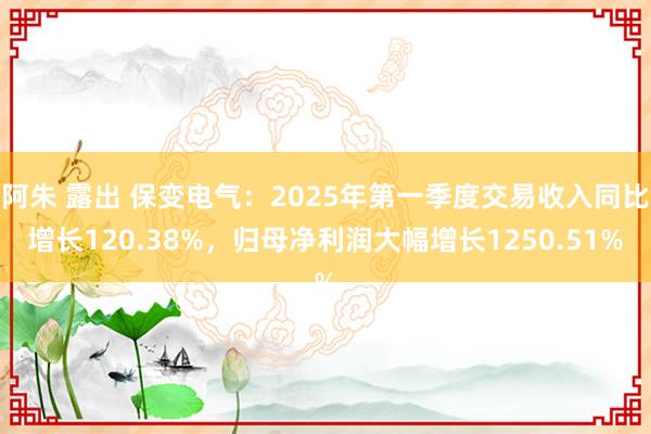 阿朱 露出 保变电气：2025年第一季度交易收入同比增长120.38%，归母净利润大幅增长1250.51%