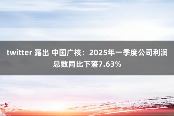 twitter 露出 中国广核：2025年一季度公司利润总数同比下落7.63%