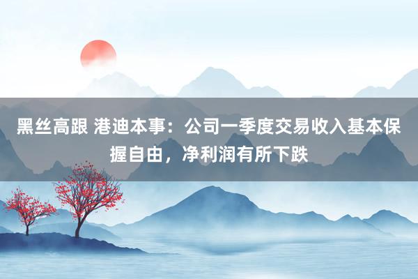黑丝高跟 港迪本事：公司一季度交易收入基本保握自由，净利润有所下跌