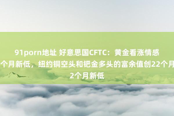 91porn地址 好意思国CFTC：黄金看涨情感创14个月新低，纽约铜空头和钯金多头的富余值创22个月新低