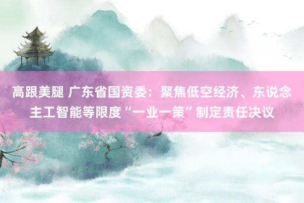 高跟美腿 广东省国资委：聚焦低空经济、东说念主工智能等限度“一业一策”制定责任决议