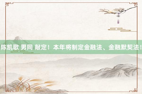 陈凯歌 男同 敲定！本年将制定金融法、金融默契法！